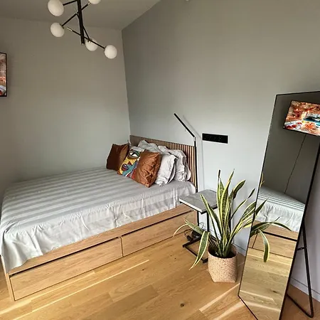 New In The Centre Apartament Parnawa